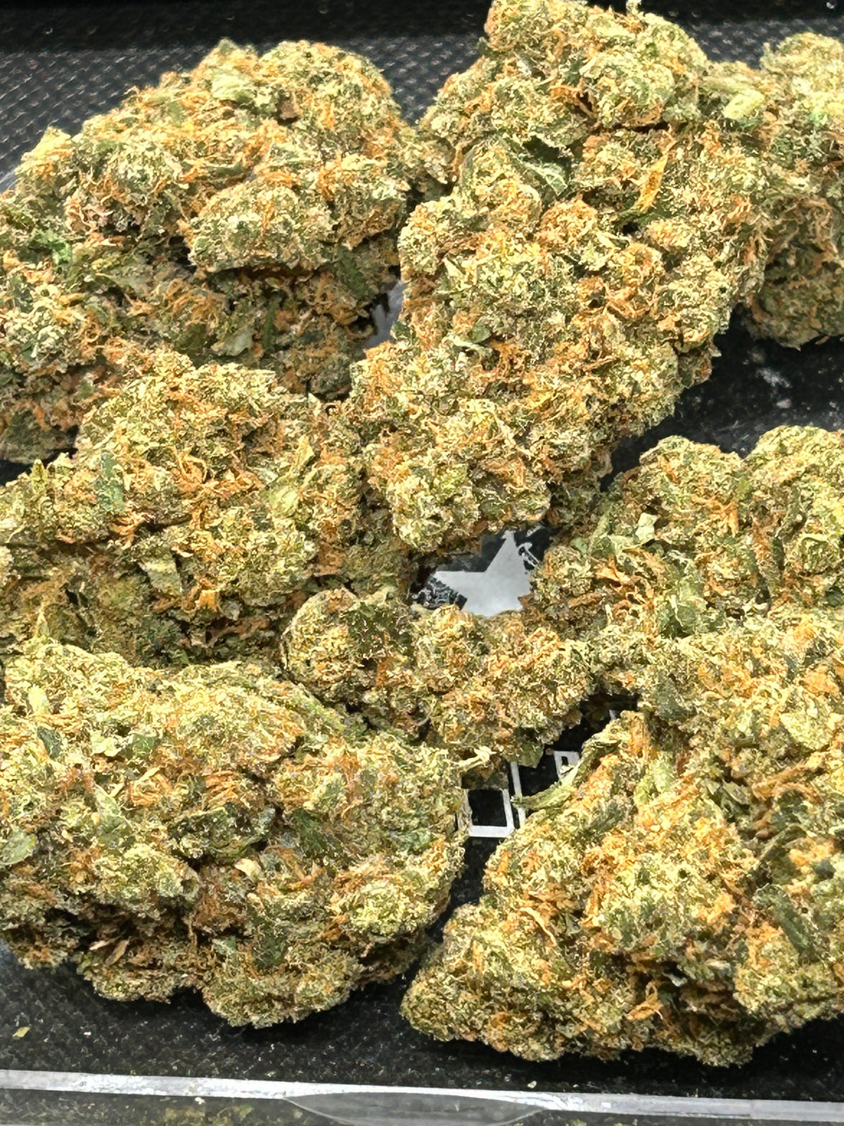 Jack Herer Indoor - Bulk - Sativa