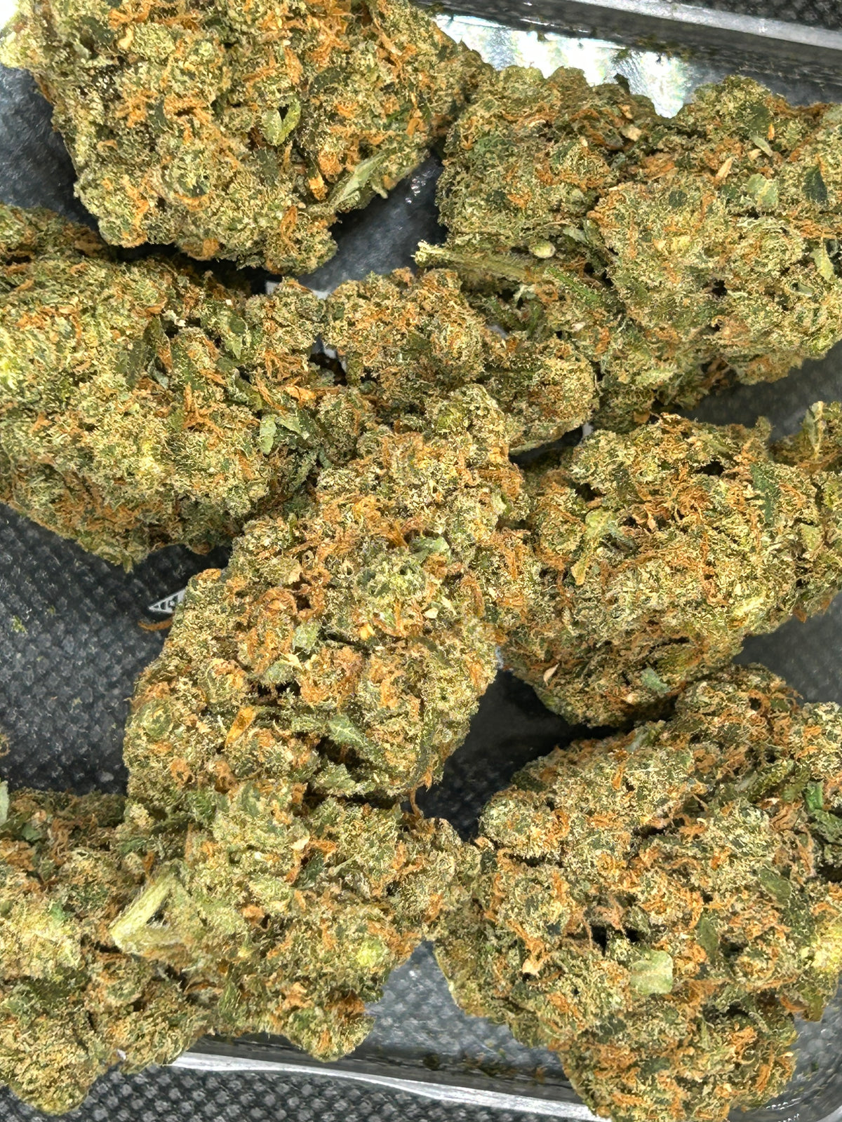 Jack Herer Indoor - Bulk - Sativa
