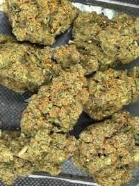 Jack Herer Indoor - Bulk - Sativa