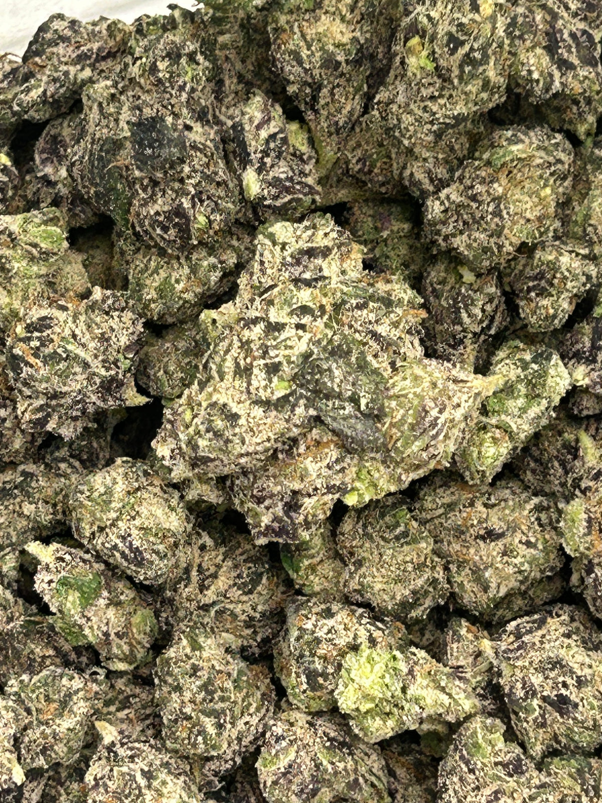 Blue Acai Indoor - Hybrid/Indica