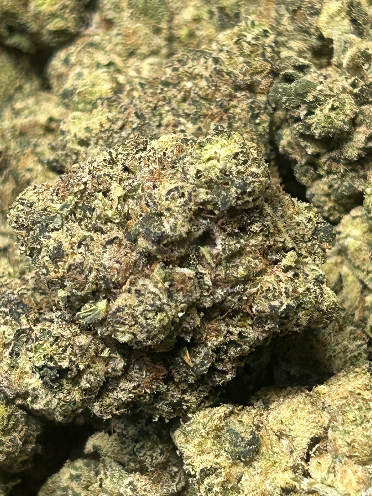 ⛽️ Super Sour Skunk - Bulk - Hybrid/Sativa