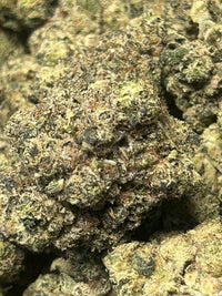 ⛽️ Super Sour Skunk - Bulk - Hybrid/Sativa