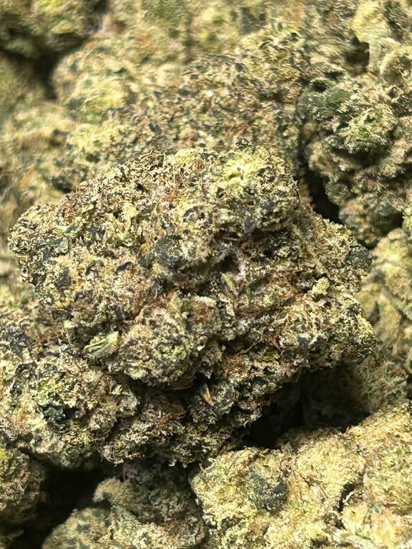 ⛽️ Super Sour Skunk - Bulk - Hybrid/Sativa