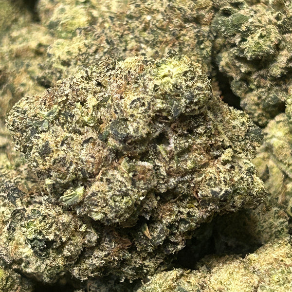 ⛽️ Super Sour Skunk - Hybrid/Sativa