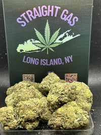 Blueberry Belts Indoor - Hybrid
