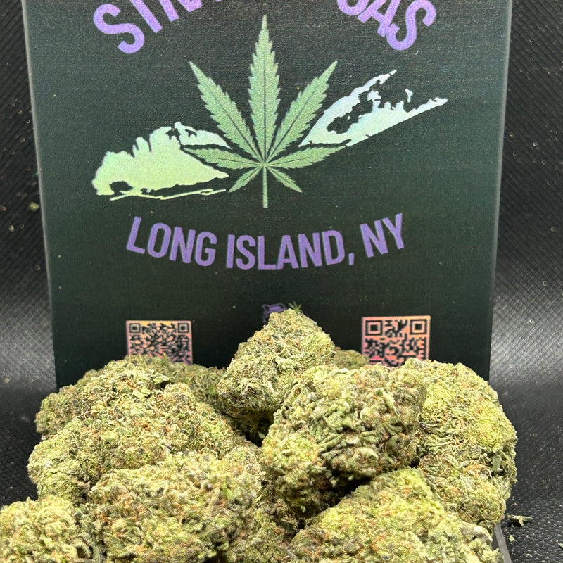 Blueberry Belts Indoor - Hybrid