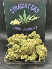 Laughing Gas Indoor - Hybrid