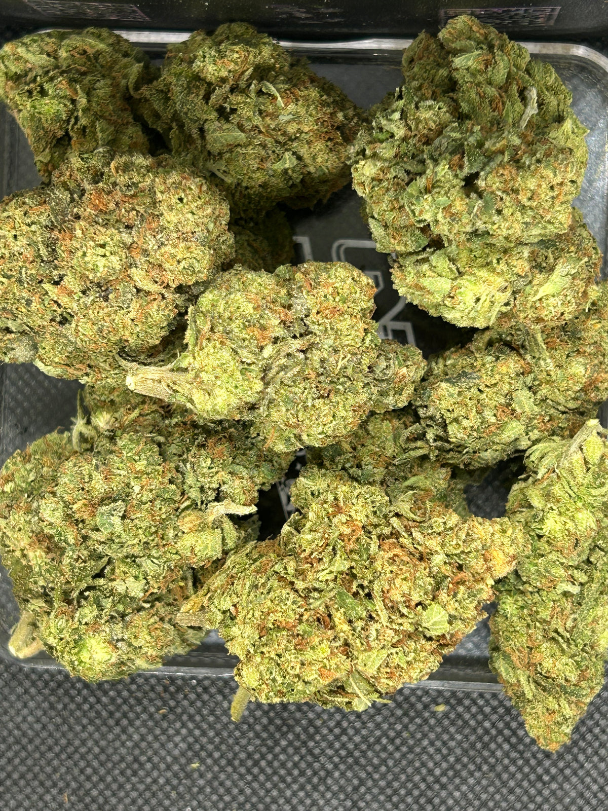 Laughing Gas Indoor - Hybrid
