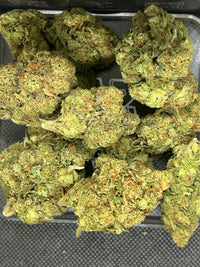 Laughing Gas Indoor - Hybrid