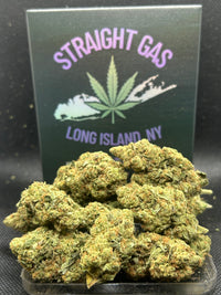 Gas Face Indoor - Indica
