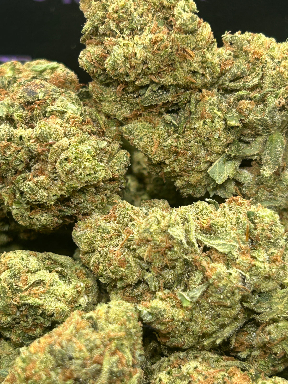 Gas Face Indoor - Indica