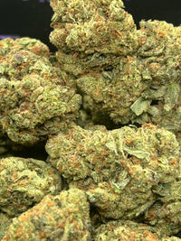 Gas Face Indoor - Indica