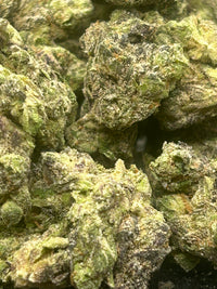 Lemon Cherry Gelato Indoor - Hybrid