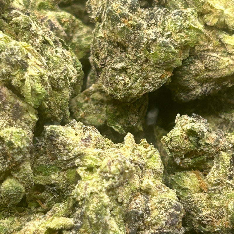 Lemon Cherry Gelato Indoor - Hybrid