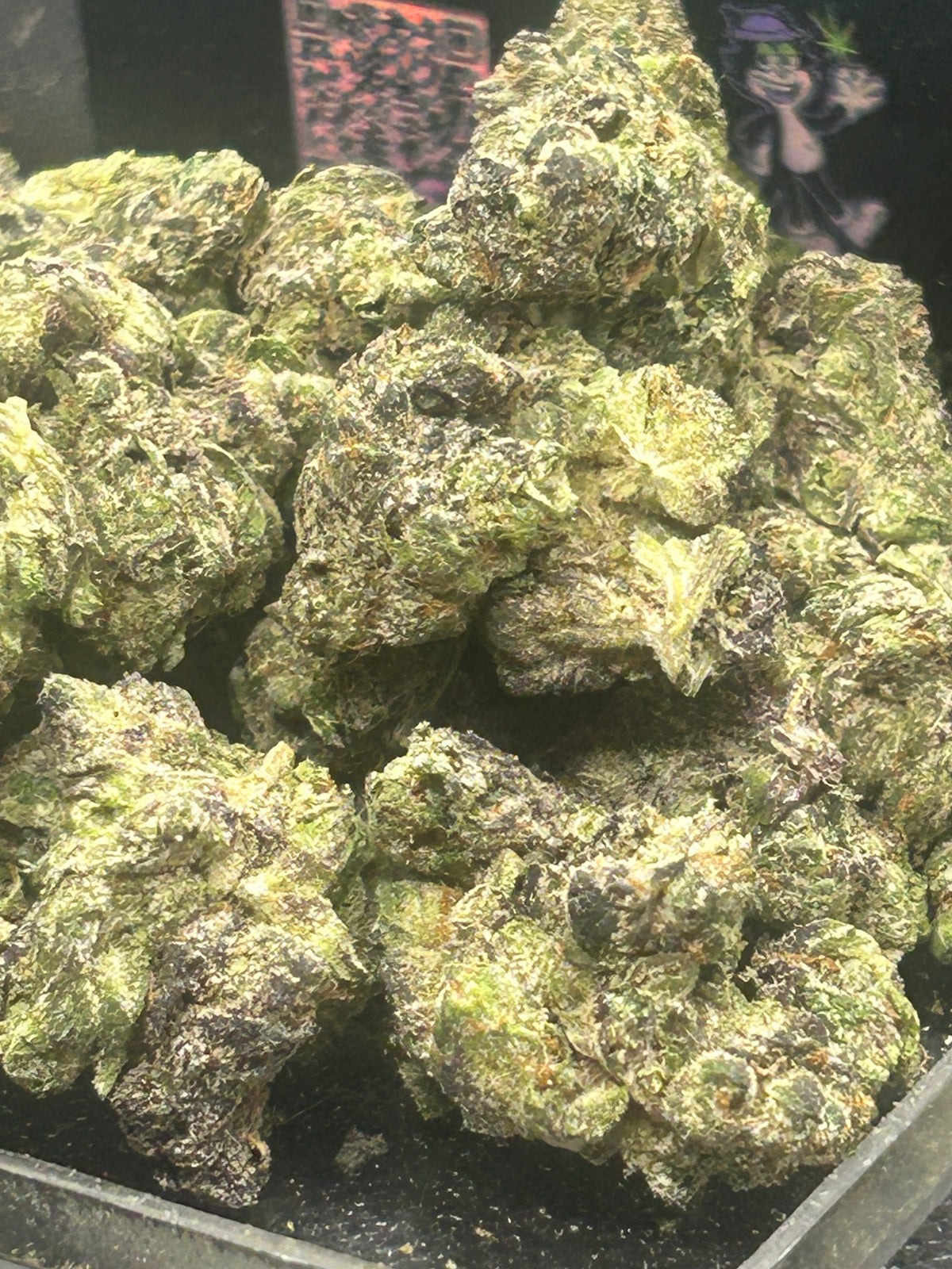 Lemon Cherry Gelato Indoor - Hybrid