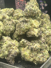 Lemon Cherry Gelato Indoor - Hybrid