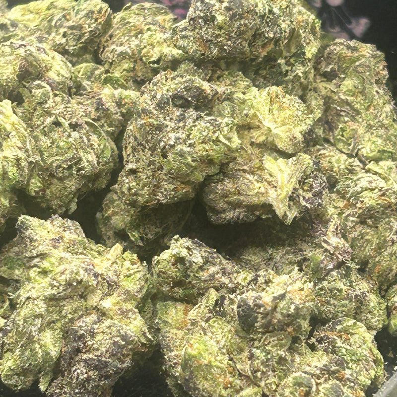 Lemon Cherry Gelato Indoor - Hybrid