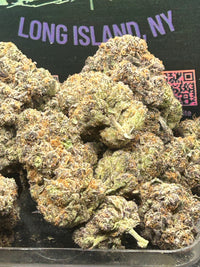 🫐 🍬 Berry Zkittles Indoor - Hybrid