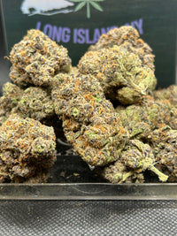 🫐 🍬 Berry Zkittles Indoor - Hybrid