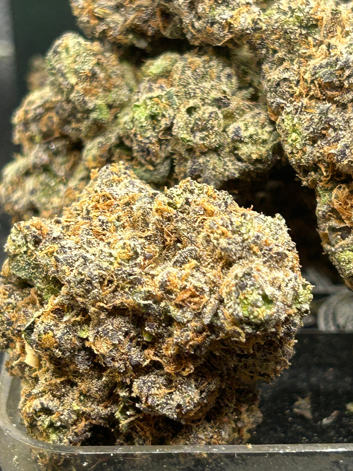 🫐 🍬 Berry Zkittles Indoor - Hybrid