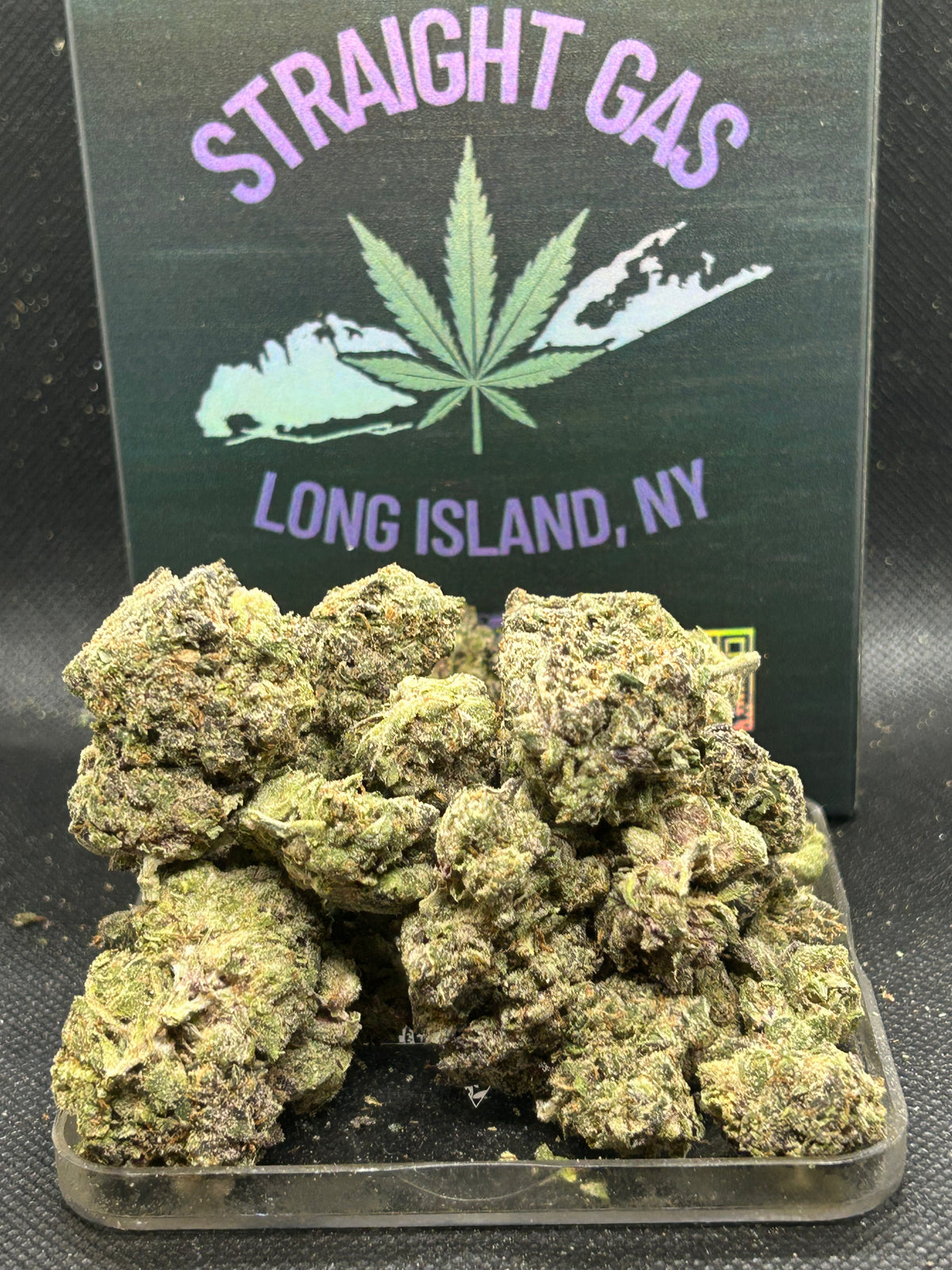 ✨🍇 Gliteratti Indoor - Hybrid