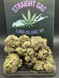 ✨🍇 Gliteratti Indoor - Hybrid