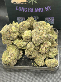 ✨🍇 Gliteratti Indoor - Hybrid