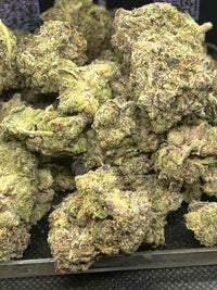 ✨🍇 Gliteratti Indoor - Hybrid