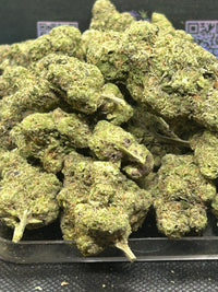 🍬🌿 Gusher Mintz Indoor - Hybrid