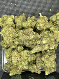 🍬🌿 Gusher Mintz Indoor - Hybrid