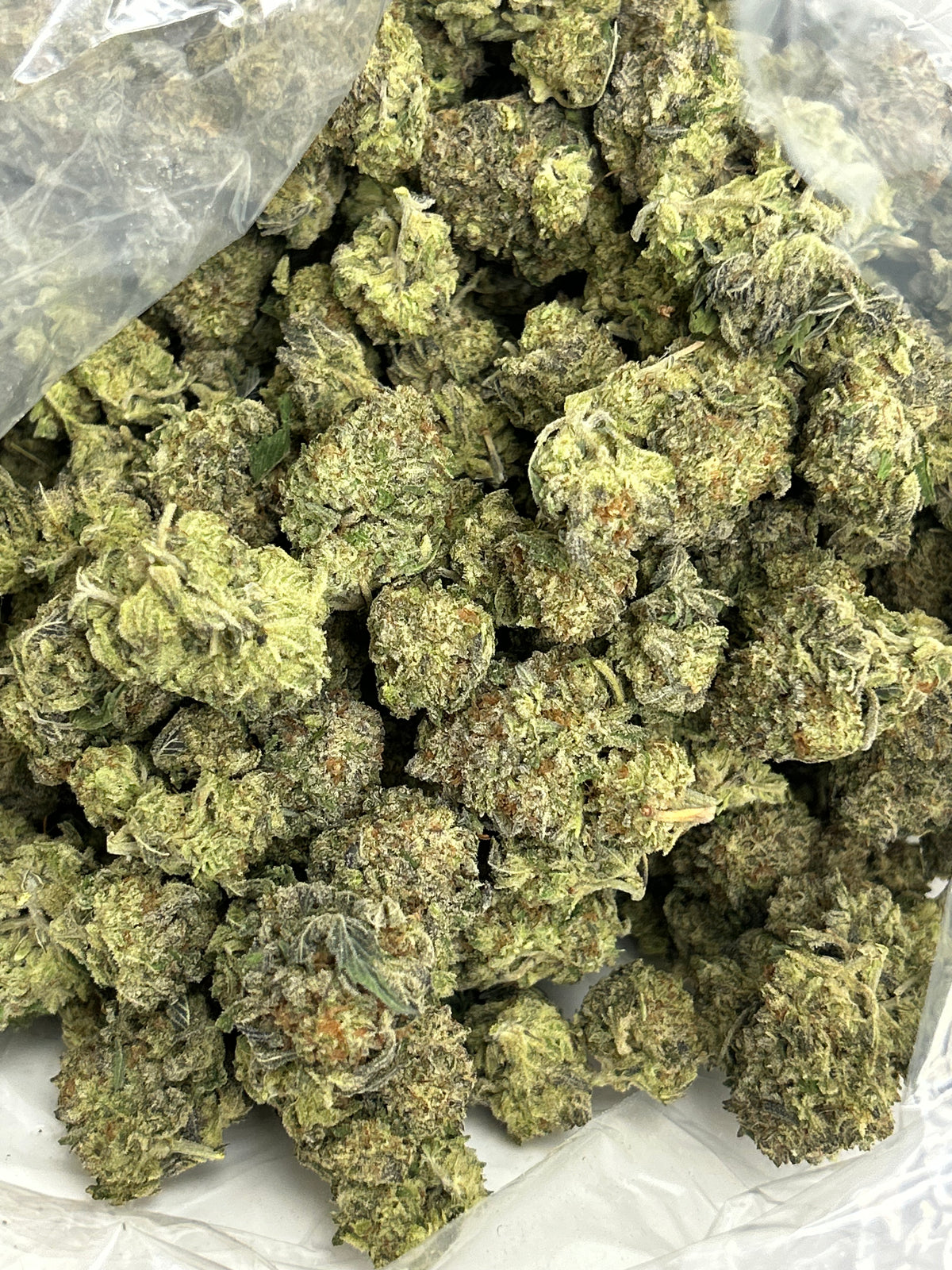 🍪❄️ Oreoz Indoor - Hybrid