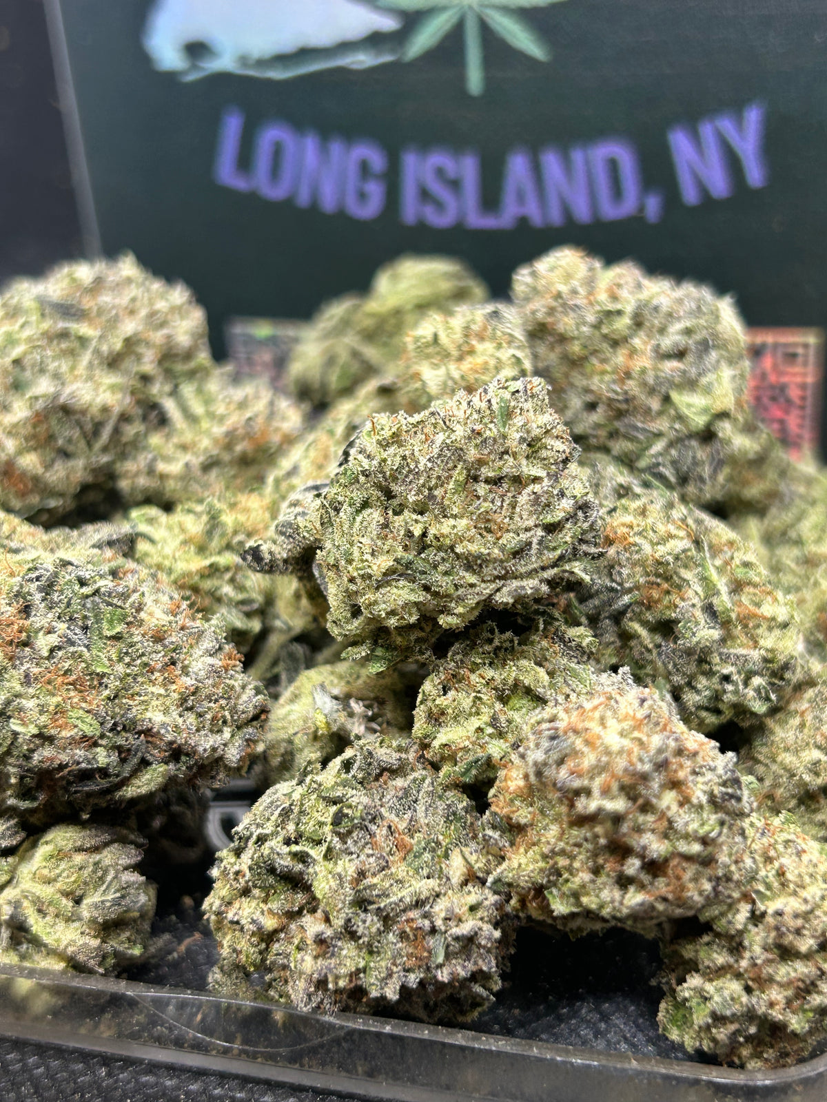 🍪❄️ Oreoz Indoor - Hybrid