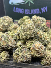 🍪❄️ Oreoz Indoor - Hybrid