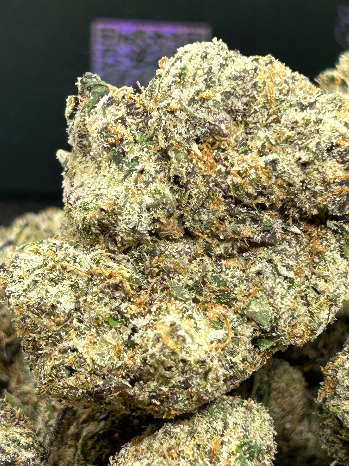 🍬🫐 Gumbo - Hybrid