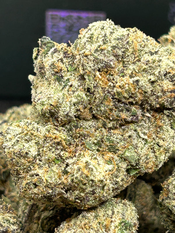 🍬🫐 Gumbo - Hybrid