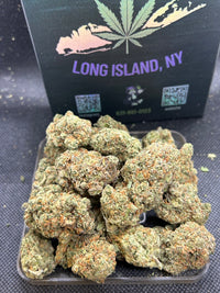 🍋 🌲 XJ-13 - Sativa