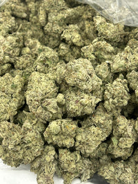 ❄️ 🍃 White Widow - Hybrid