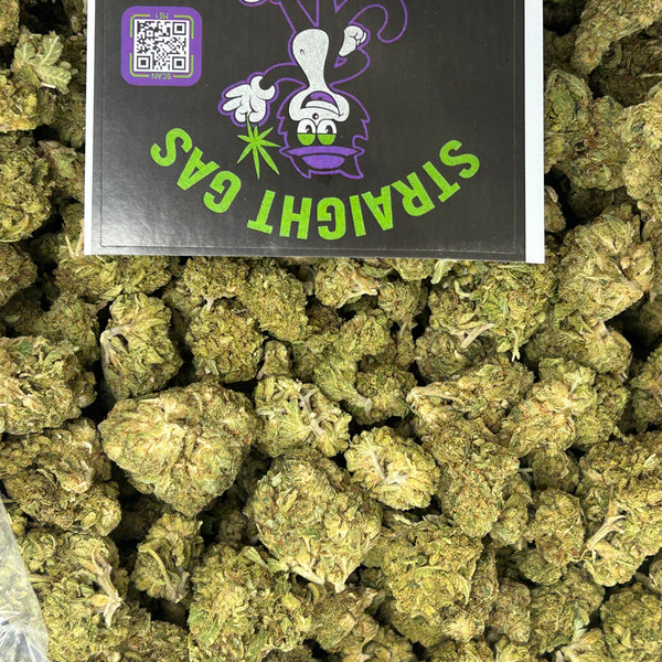 🍬🌿 Gusher Mintz - Hybrid