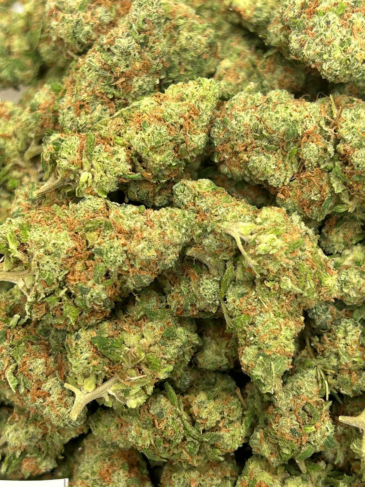 Mowie Wowie - Sativa