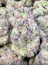 HashBurger - Bulk - Indica