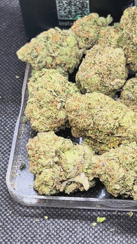 Runtz x Grease Monkey - Hybrid