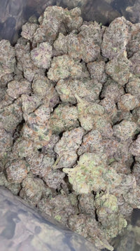 Exotic Gary Payton Bigs - Bulk - Hybrid