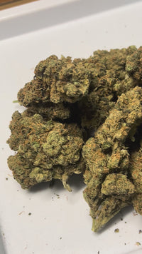 Beyond Blue Dream - Sativa