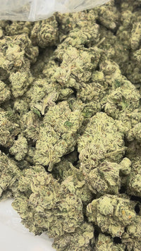 ❄️ 🍃 White Widow - Hybrid