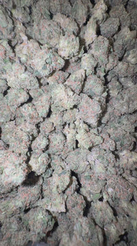 Exotic Jack Herer (Popcorn) - Bulk - Sativa