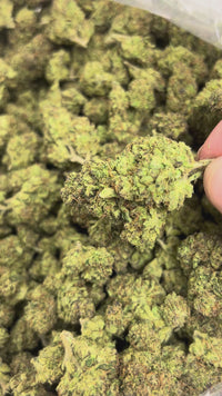 Purple Diesel - Sativa