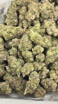 🍒💥 Cherry Warheads Indoor - Hybrid