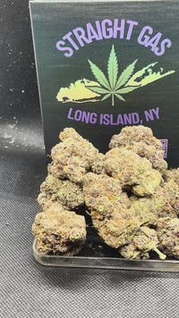 🫐 🍬 Berry Zkittles Indoor - Hybrid