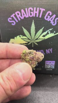 Bruce Banner - Bulk - Hybrid/Sativa