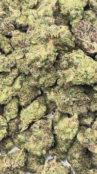 Gary Cookies - Hybrid/Indica